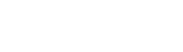 Weißes Logo von WSB Winter Service Berlin, professioneller Winterdienst in Berlin für Schneebeseitigung.